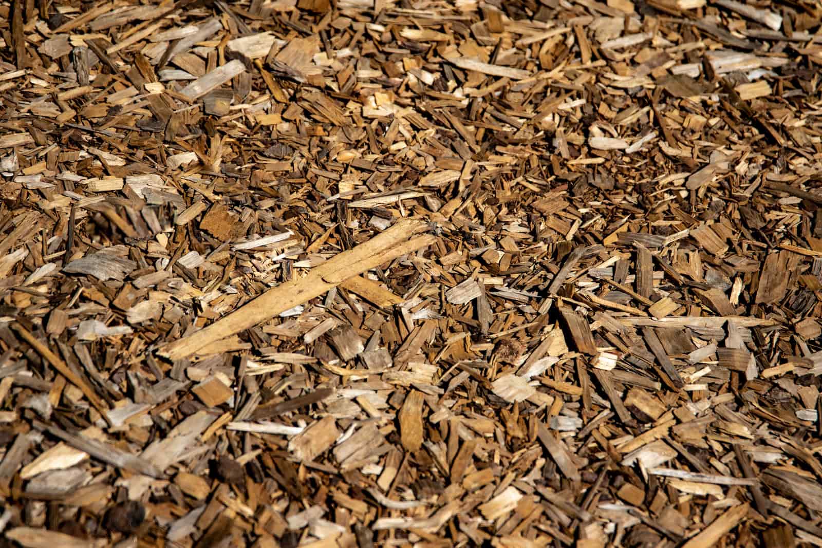 Close-up of brown bark mulch in sunlight